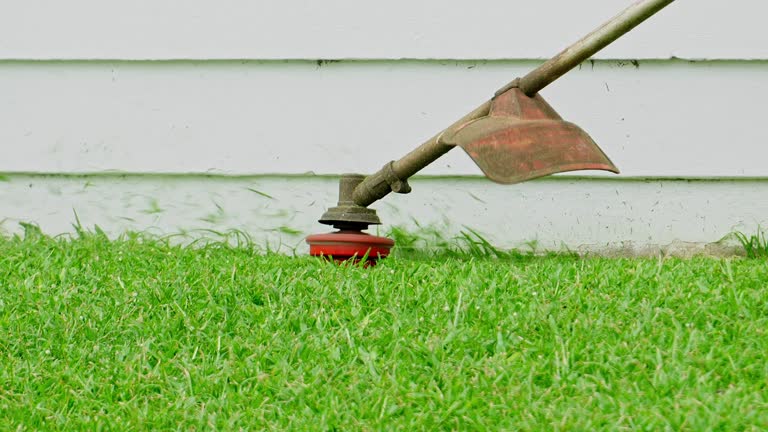 Organic Lawn Care Solutions